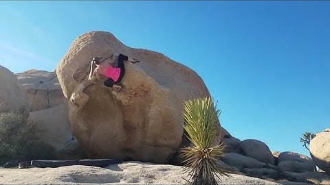 Belly Roll* (V1) Flash - Joshua Tree