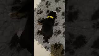 VID 20200327 002551 2