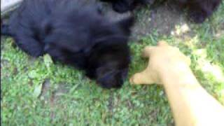 20110918 12