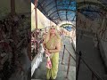 Jai mata di #jaimatadi #bankimata #matarani #trending