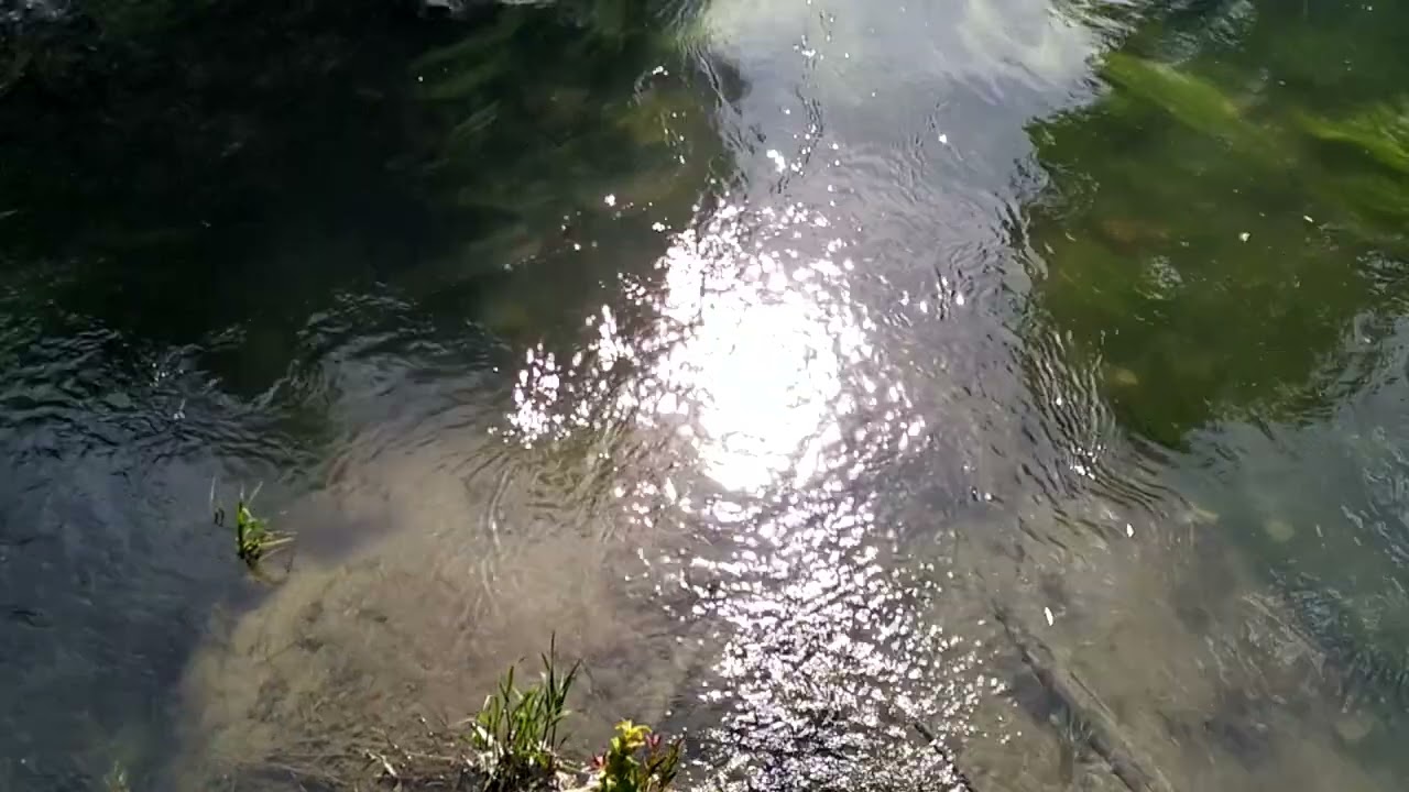 Пос. Пудость. Ленинградская обл.