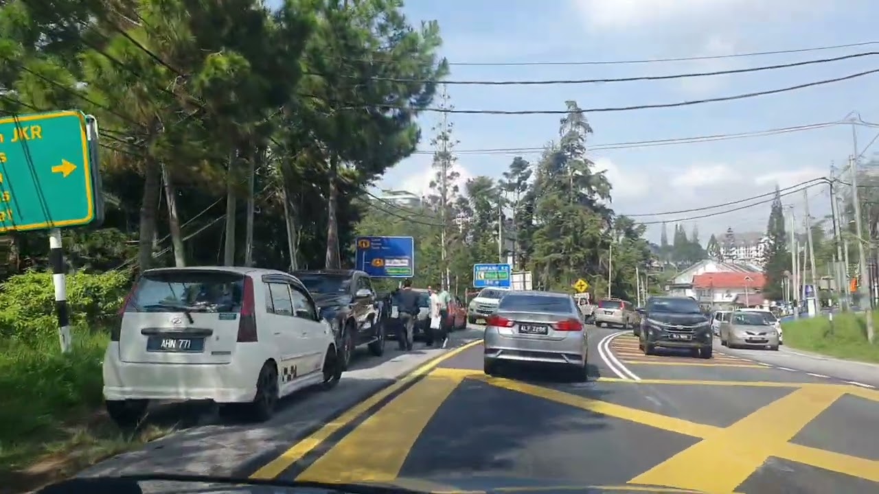 Cameron Highlands  8 may 2024