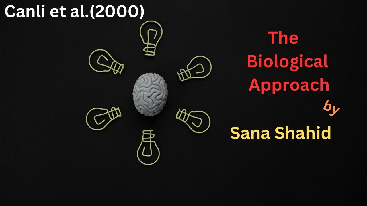 Canli et al.(2000)#amygdala activation emotion and memory - YouTube