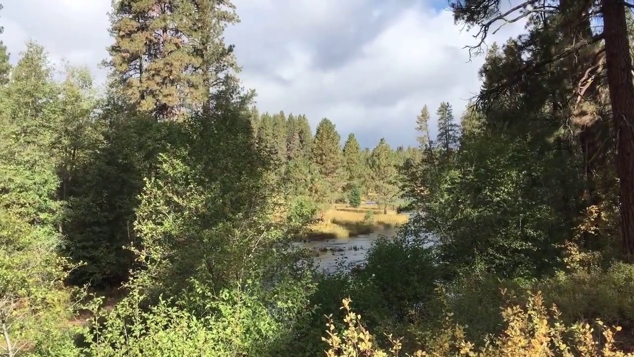 Metolius River