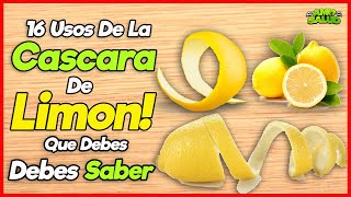 Cascara De Limon! 16 Usos Que Debes Saber Ya. Nunca Mas La Tiraras A La Basura.