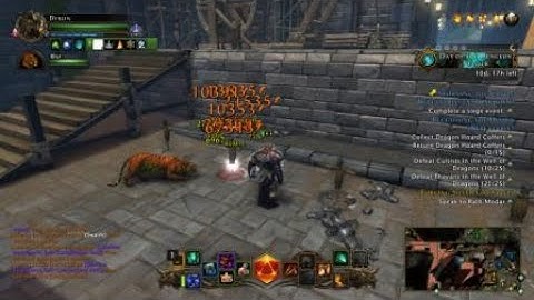 Neverwinter Afk damage Gwf module 14