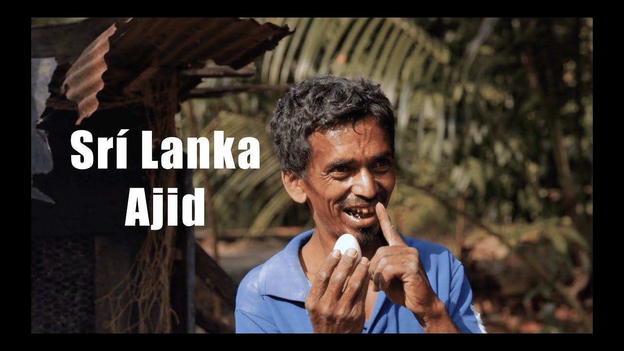 Srí Lanka - Ajid - YouTube