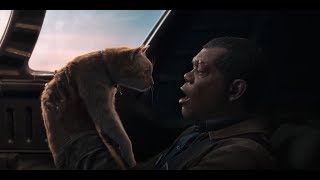 Nick fury loses his eye to a cat scene ...