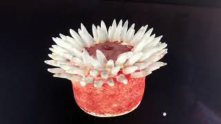 Famous sea anemone sketchfab Profile