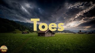 Zac Brown Band - Toes (Lyrics)