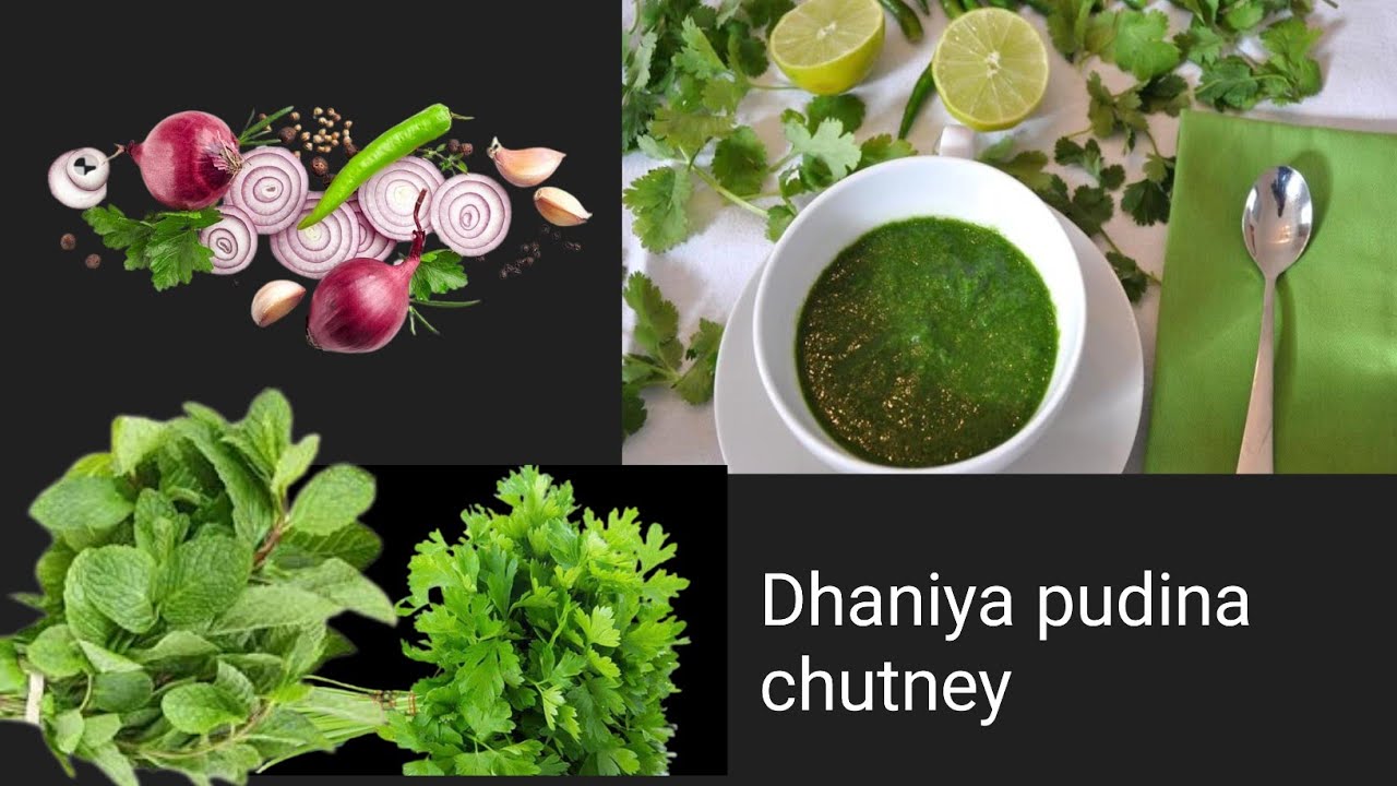 5 min mein bnaaye dhaniya pudina chutney Priyas_punjabi_kitchen
