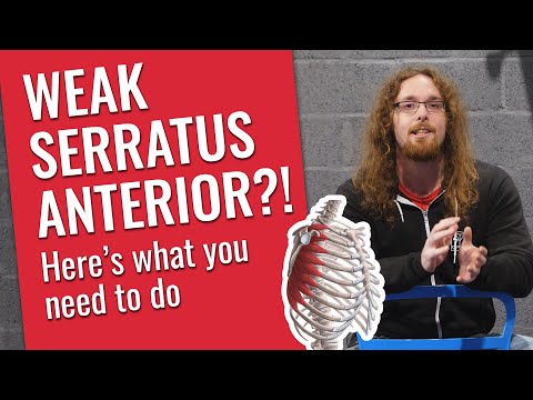 Weak Serratus Anterior? It&rsquo;s probably not...