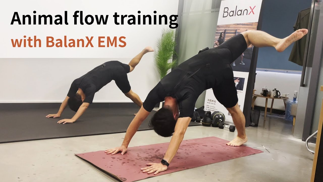 Animal flow training with Balanx EMS - YouTube