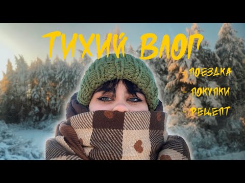 ТИХИЙ ВЛОГ | поездка в поселок, театр и много подарков ❄️☃️🎄
