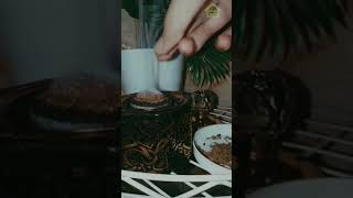 Download Lagu STORY WA BUKHUR بخور incense  JUMAT SHOLAWAT MP3