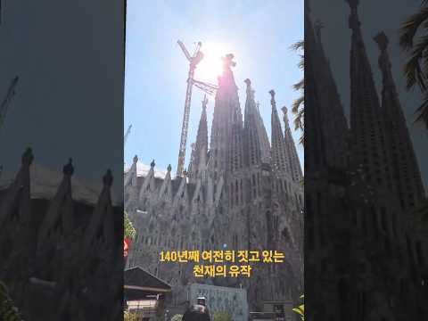 140년째 짓고 있는 성당 내부 클래스.. 가우디 미쳤다 ㄷㄷ #사그라다파밀리아 #바르셀로나 #스페인여행 #가우디 #유럽여행 #shorts