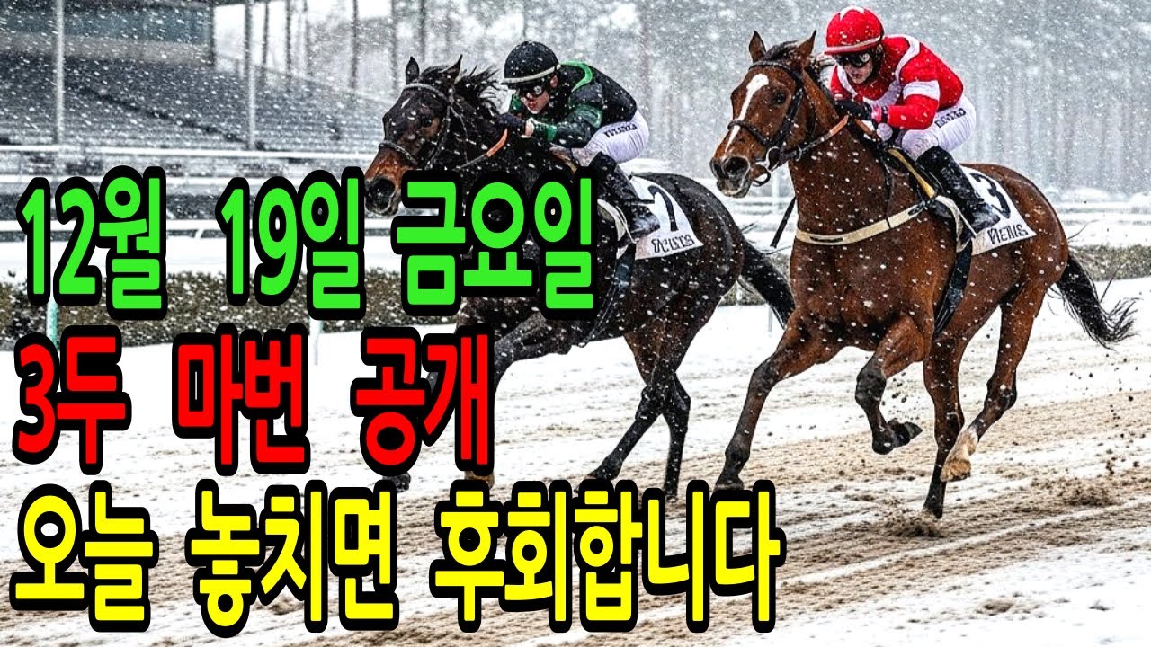 12월 19일 금요일 경마~“지금 안 보면 다음 경주에서 땅을 치고 후회합니다”ㅣ승전경마 전문가의 이변 포착 l 경마 l 경마예상 l 코리아레이스 l 검빛경마 ㅣ경마정보