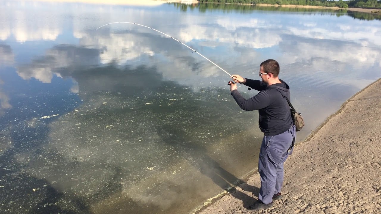 Justace HAL692 и крупный окунь