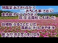 国富の風/二見颯一 カラオケ(♭1)