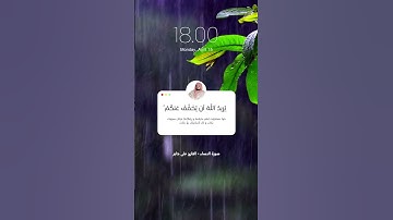 سورة النساء 27 - 28 القارئ علي جابر