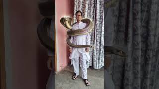 #Vasuki Naag#Shorts#@ajaybaolivlogs#