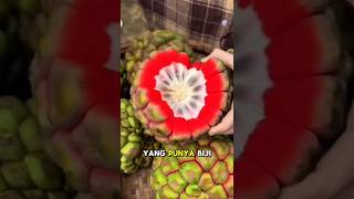 2 buah dengan biji diluar #viralvideo #shortvideo #shorts #faktaunik #buah #strowberry #jambumete
