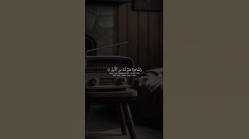 من اروع تلاوات الشيخ المنشاوي ما شاء الله #القرآن_الكريم #قرآن #المصحف #المنشاوي #foryou #اكسبلور