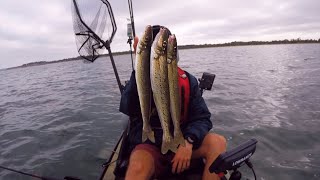 How To Catch Whiting! (Kayak Fishing Multi Species)