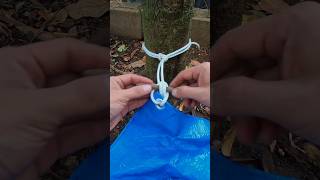 Great knot for camping ⛺ Very useful knot #diy #rope #knot (▶112)
