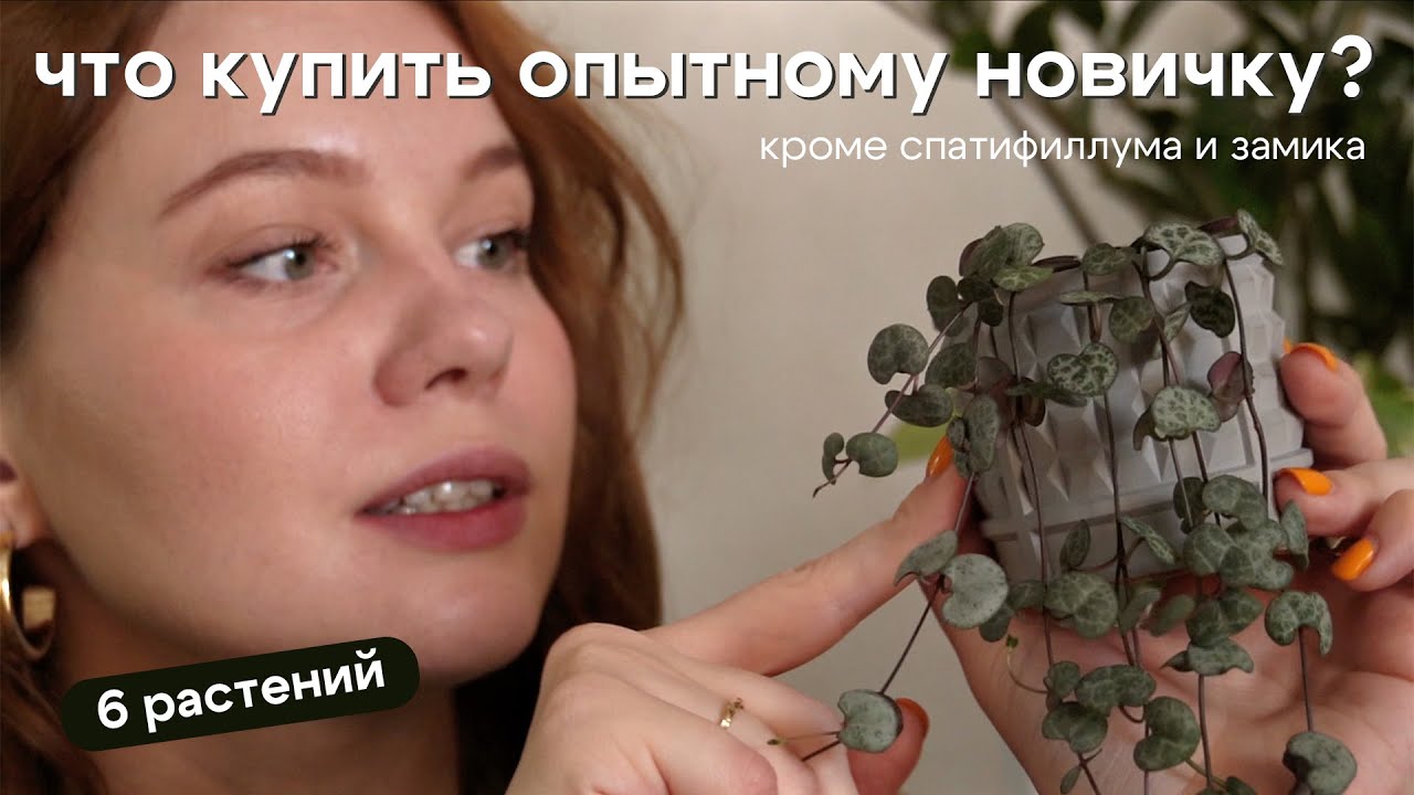 НЕ СКУЧНЫЕ РАСТЕНИЯ для Junior + цветочника | ПОДОЙДУТ для ЭКСПЕРИМЕНТОВ с грунтом и ФИТИЛЁМ