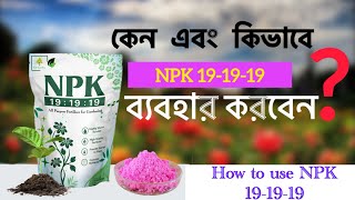 How to Use NPK 19-19-19 fertilizer in plant || Use, necessity and rules of N P K 19-19-19