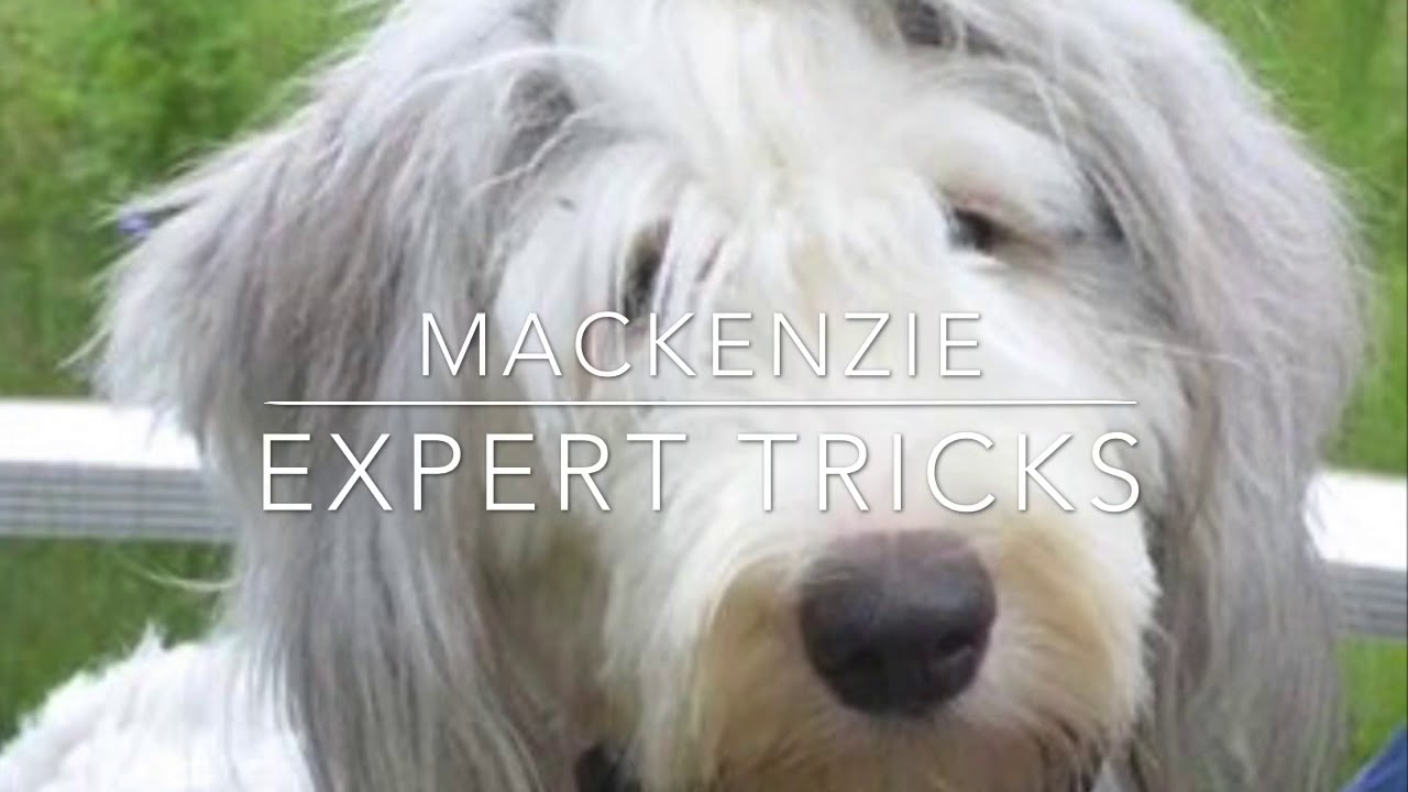 Mac’s Expert Tricks - YouTube