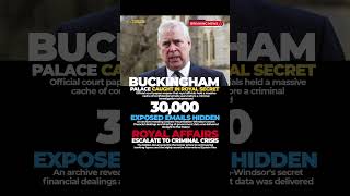 Palace Held 30,000 Leaked Andrew Emails Years Before Arrest