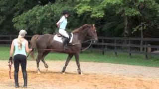 Flat lesson on Bella