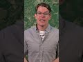 What’s up with these bizarre land forms?