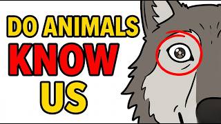 Do Animals Know What Humans Are? What goes through their heads when they see us?