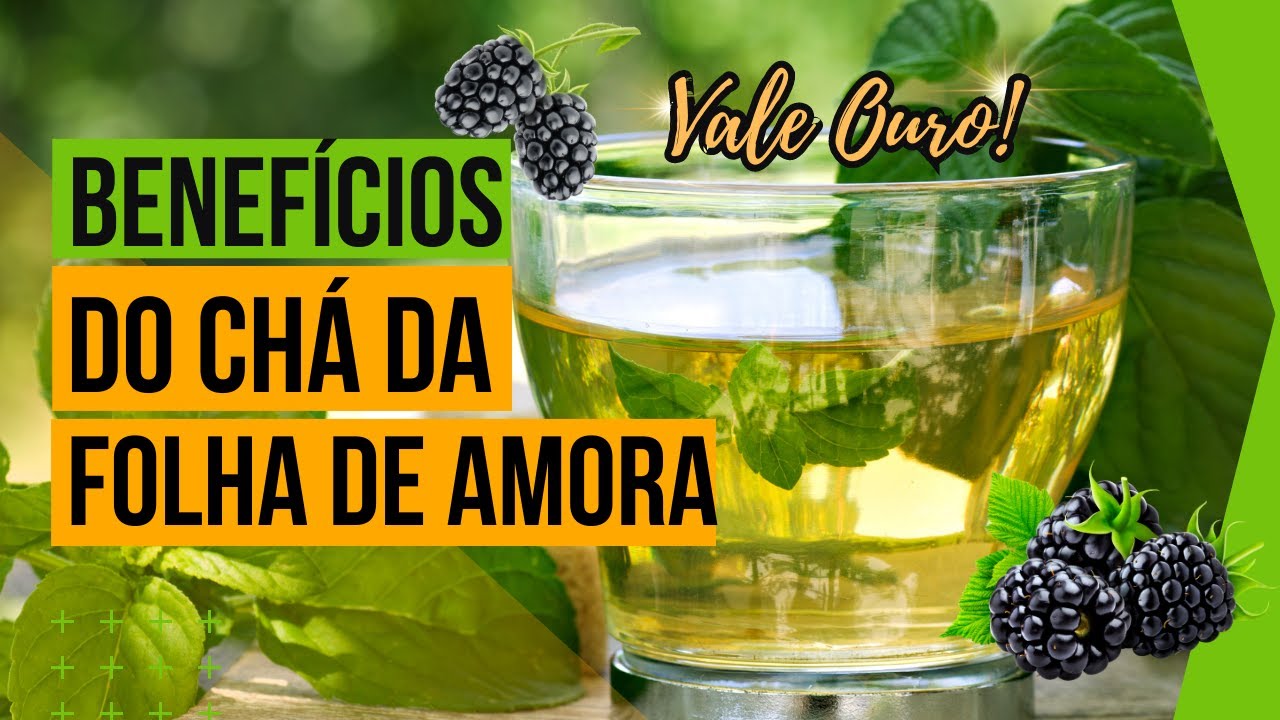 Conheça 12 PODEROSOS BENEFÍCIOS do CHÁ da FOLHA de AMORA | Veja para ...
