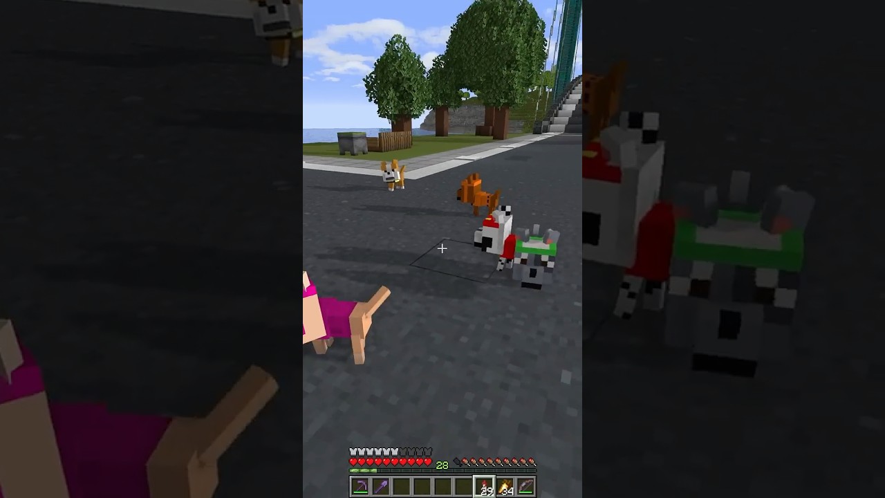 Paw Patrol I've lost the Pups 