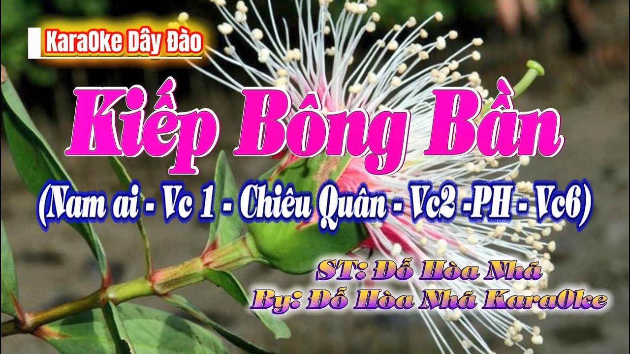 Karaoke KIẾP BÔNG BẦN (Tình Nàng Thủy Liễu) Tân cổ Dây Đào Dễ Hát | Đỗ Hòa Nhã Karaoke