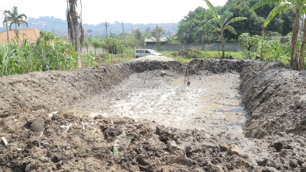 STEPS TAKEN IN MAKING A FISH POND ( INVEST IN FISH FARMING)