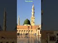 Subhan ALLAH 💞 #naat #islamicquotes #islamicvideo #ytshorts #islam #islamic #fyp #hk #yt #cute #usa