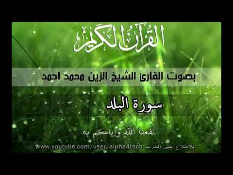 سورة البلد للشيخ الزين محمد أحمد 
