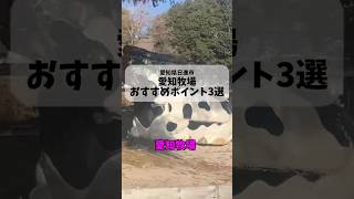 【愛知観光】愛知牧場3選