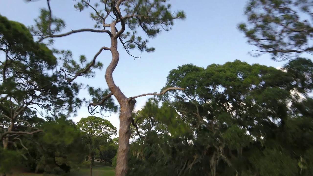 Inspired by Matty Stuntz n drib