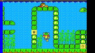 Alex Kidd in Miracle World underwater glitch