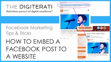 How to embed a Facebook post or video on your website