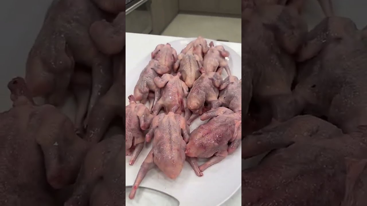 أسهل وأسرع كبسة حمام - مشعل هايف ابو نورا