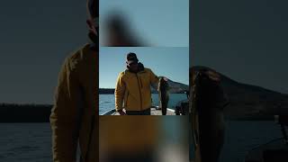Monster fish on Clear Lake in this new episode