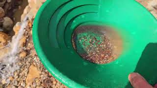 Gold Rush 2026   Watch What We Found When We Panned for Gold! An Incredible Discovery