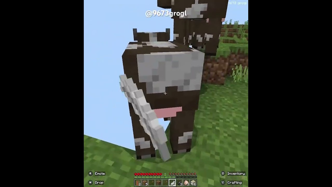 knockback infinity (chunk loading bug on bedrock)